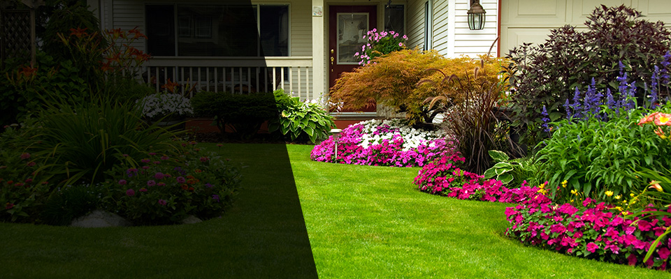 Big Bear City Landscapers